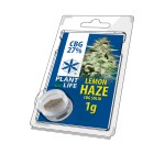 Plant of Life Solid 27% CBG Lemon Haze 1gr
